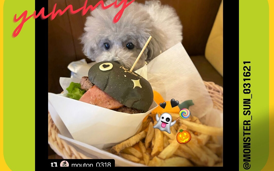 ご来店ありがとうございます‍♀️