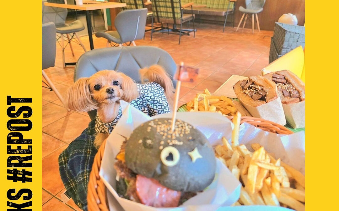 ご来店ありがとうございます‍♀️