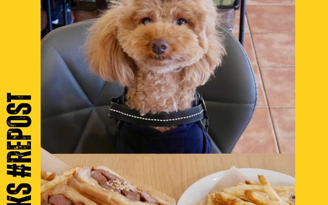 ご来店ありがとうございます‍♀️