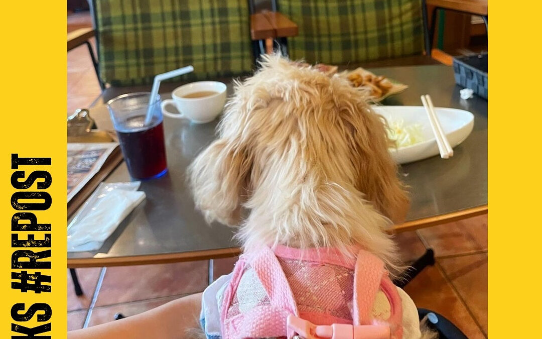 ご来店ありがとうございます‍♀️