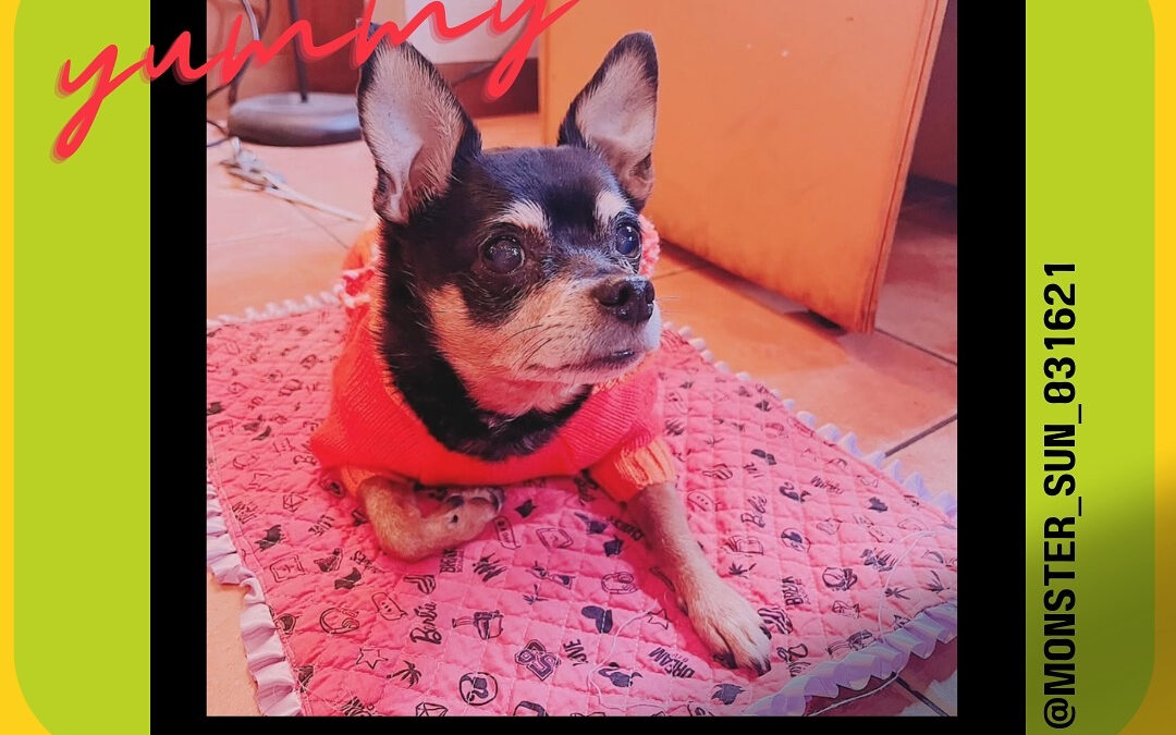 ご来店ありがとうございます‍♀️