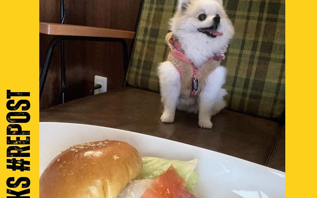 ご来店ありがとうございます‍♀️