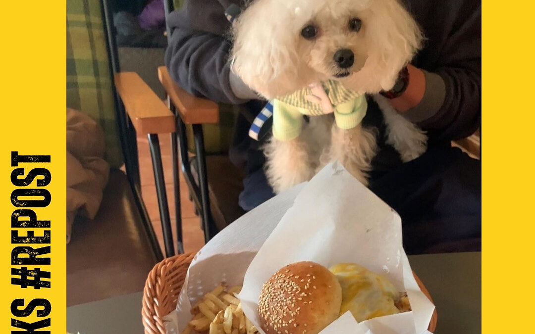 ご来店ありがとうございます‍♀️