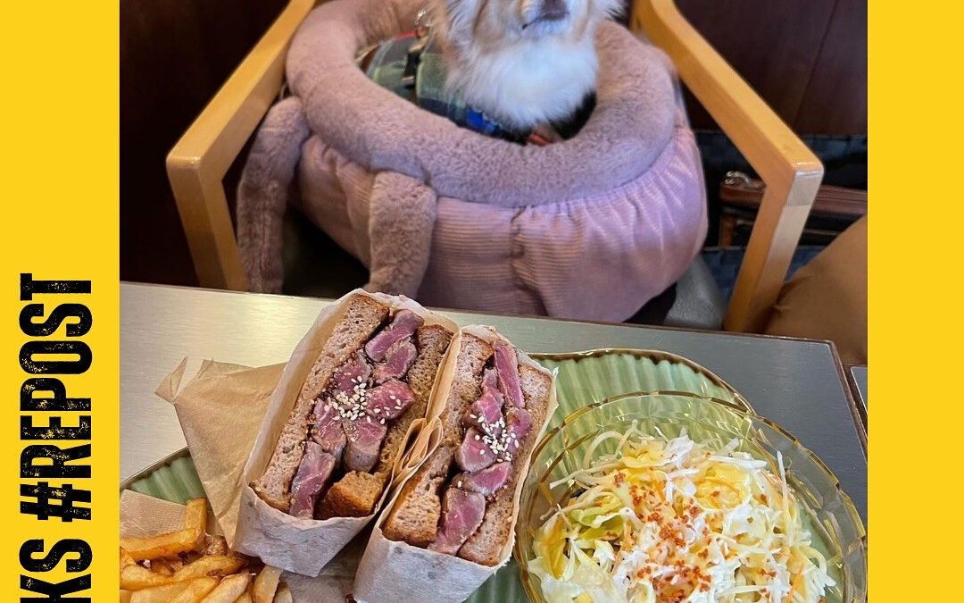 ご来店ありがとうございます‍♀️