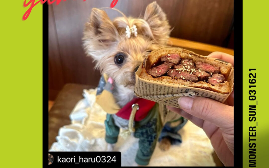 ご来店ありがとうございます♀️