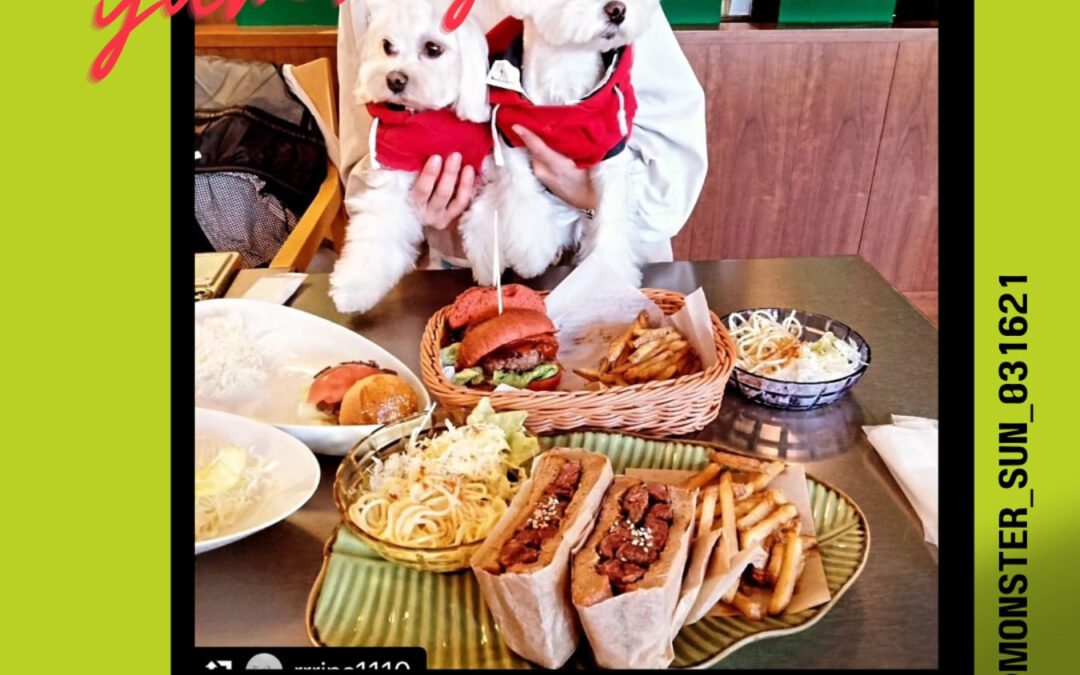 ご来店ありがとうございます♀️