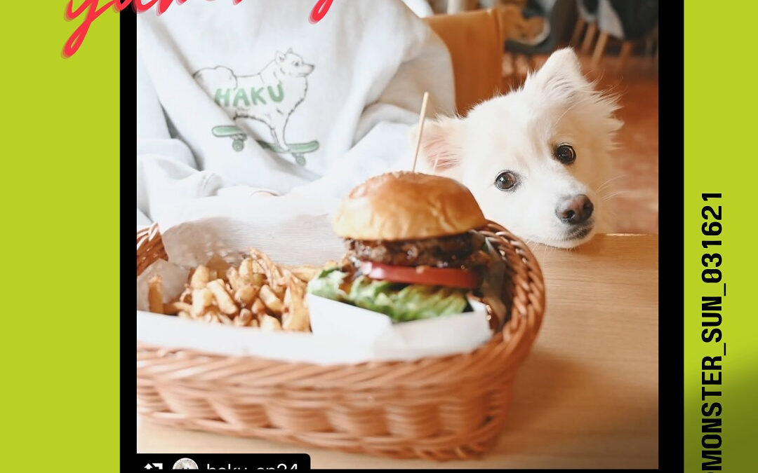 ご来店ありがとうございます♀️