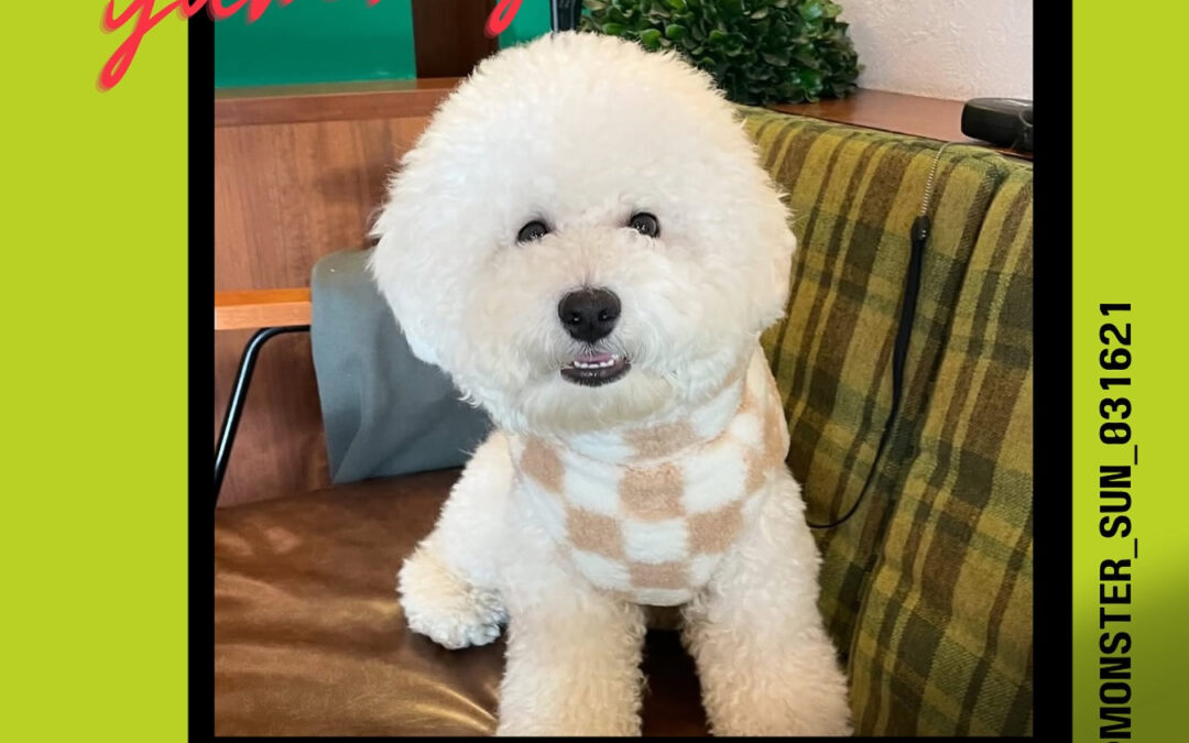 ご来店ありがとうございます♀️