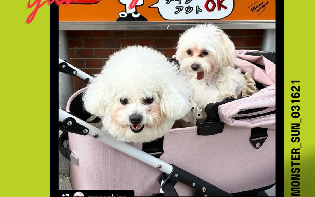 ご来店ありがとうございます♀️