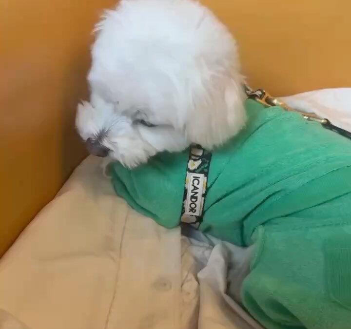 ご来店ありがとうございます‍♀️