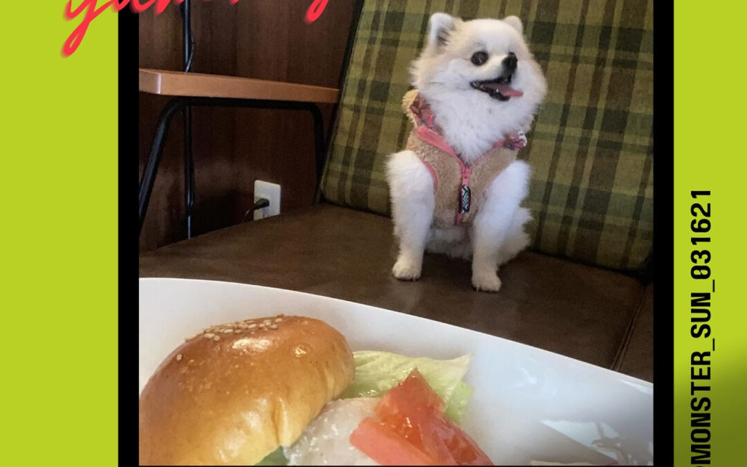 ご来店ありがとうございます‍♀️