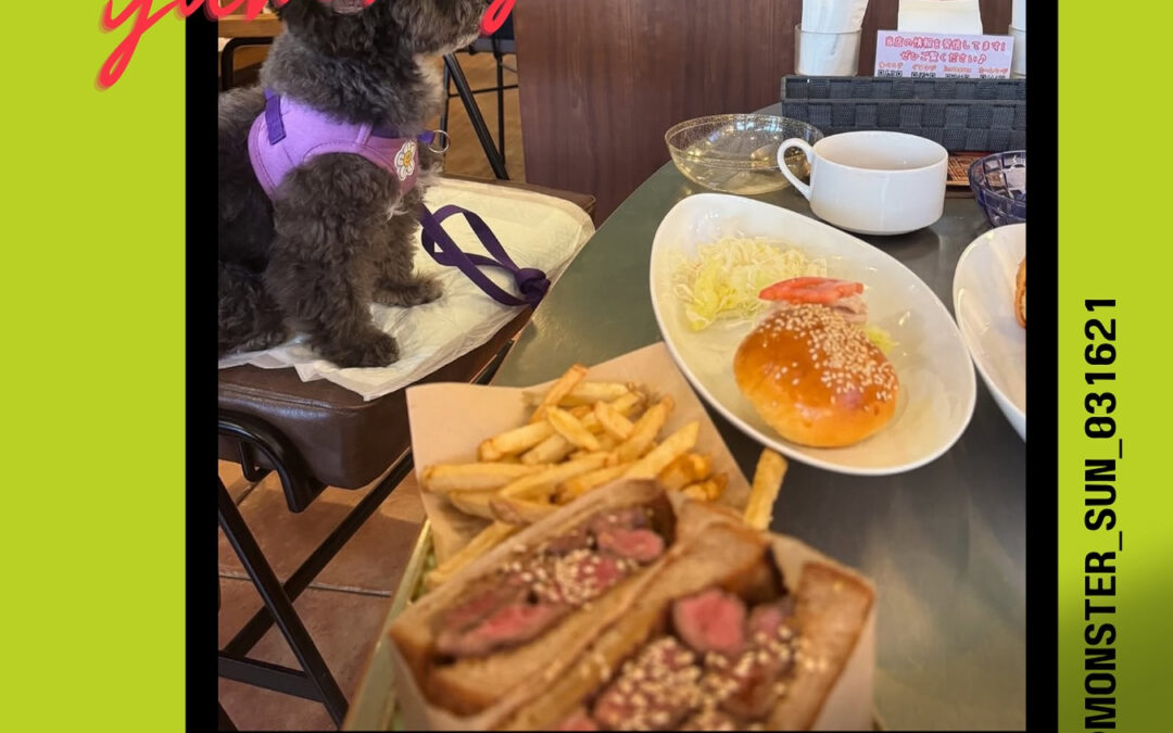 ご来店ありがとうございます♀️